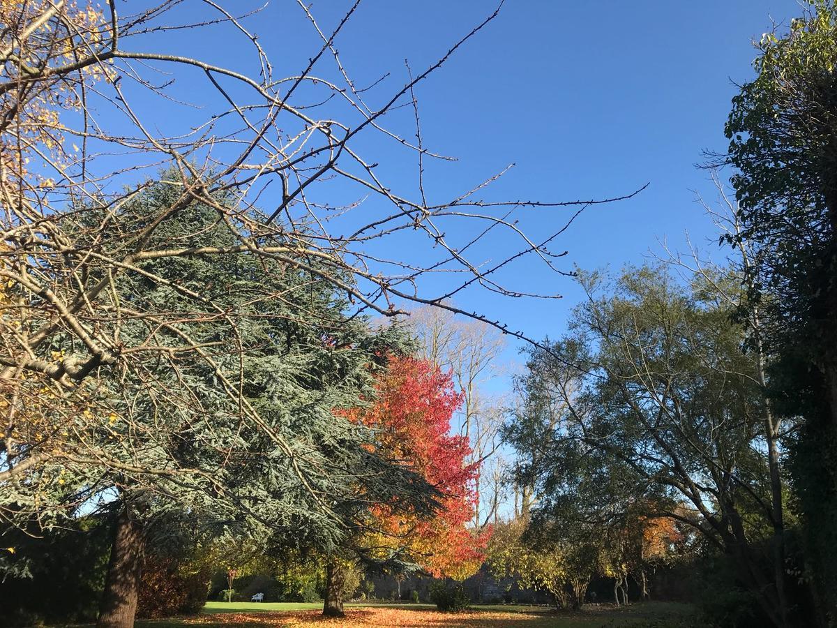 Leixlip Manor Hotel 외부 사진