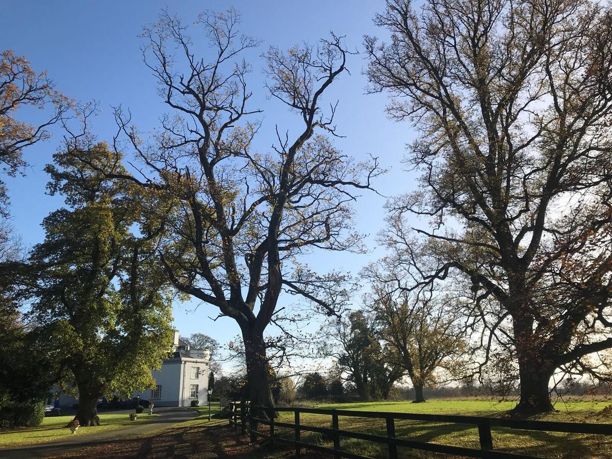 Leixlip Manor Hotel 외부 사진